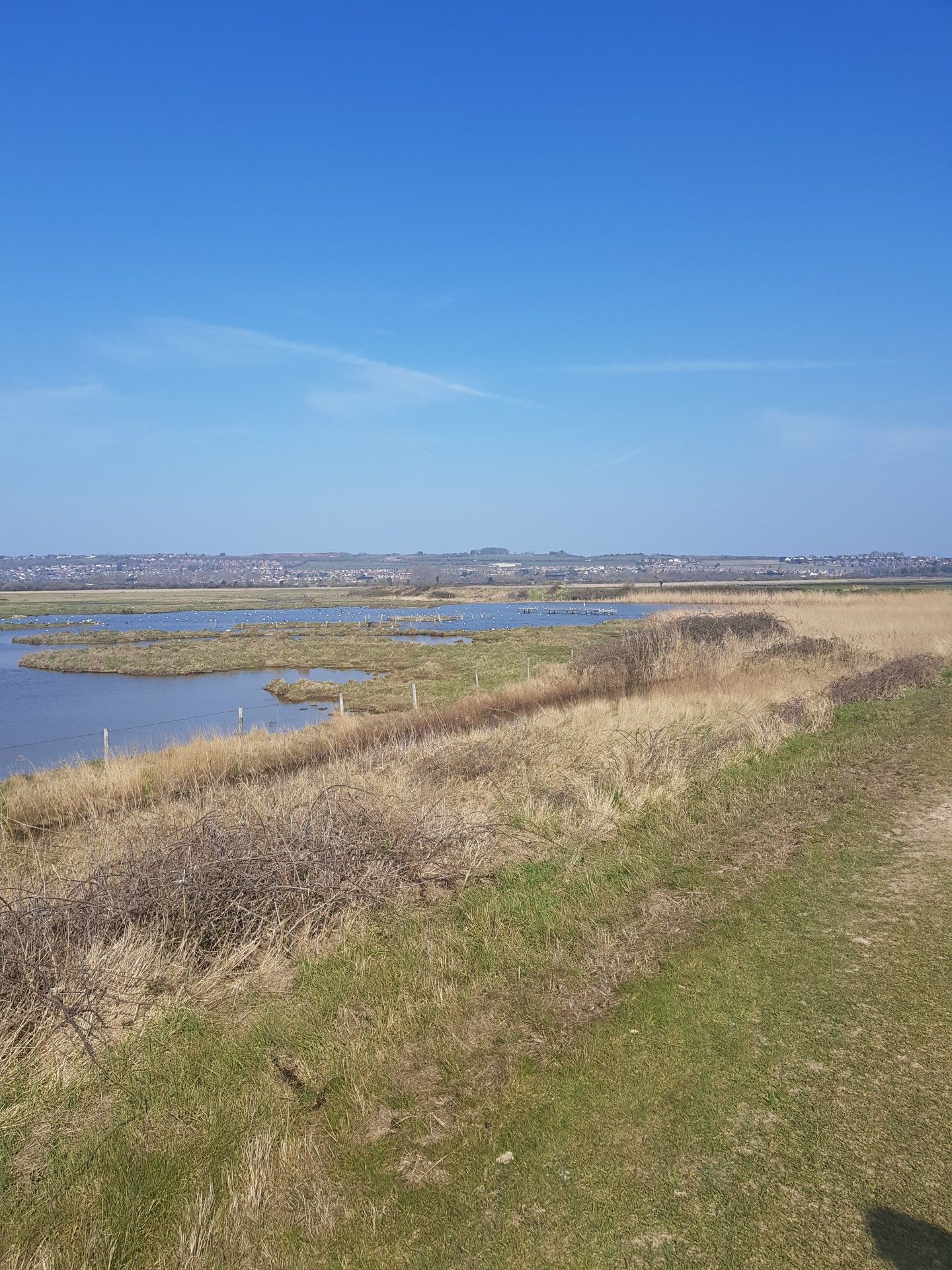 Picture of the marshes and a blue sky